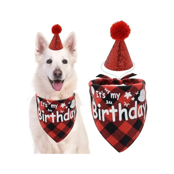 Red Dog Birthday Party Supplies Bandana and Hat Set for Small to Large Dogs