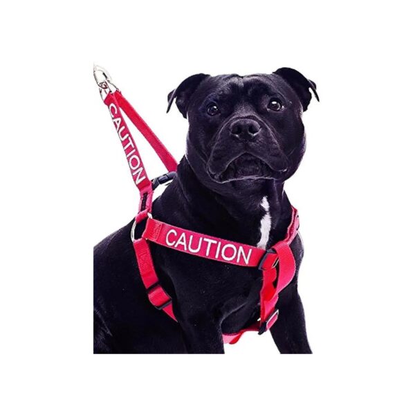 Red Dog Harness Size L XL Non Pull Durable Nylon Material Prevents Incidents