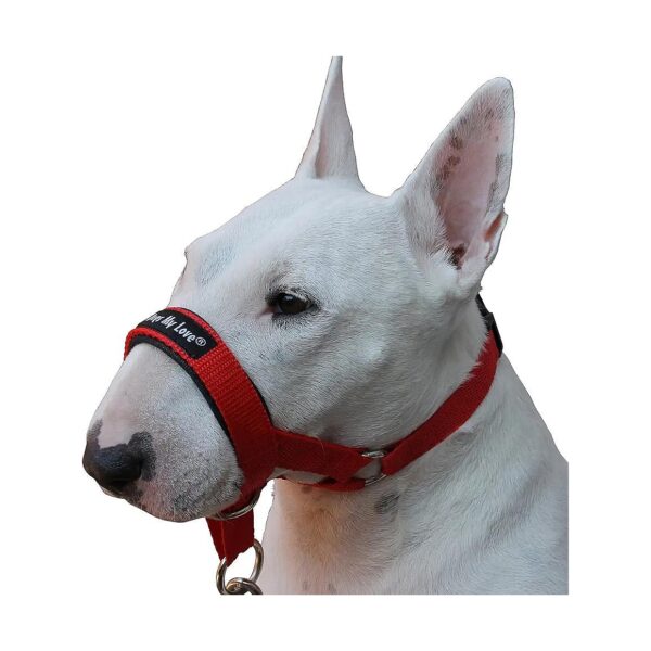 Red Halter Dog Collar for Medium Breed Dogs with Snout Size 25 to 25 inches