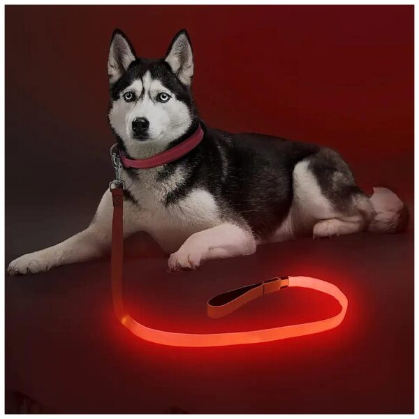 Red LED Dog Leash 4 Foot with USB Charging Port for Fast and Convenient Recharging