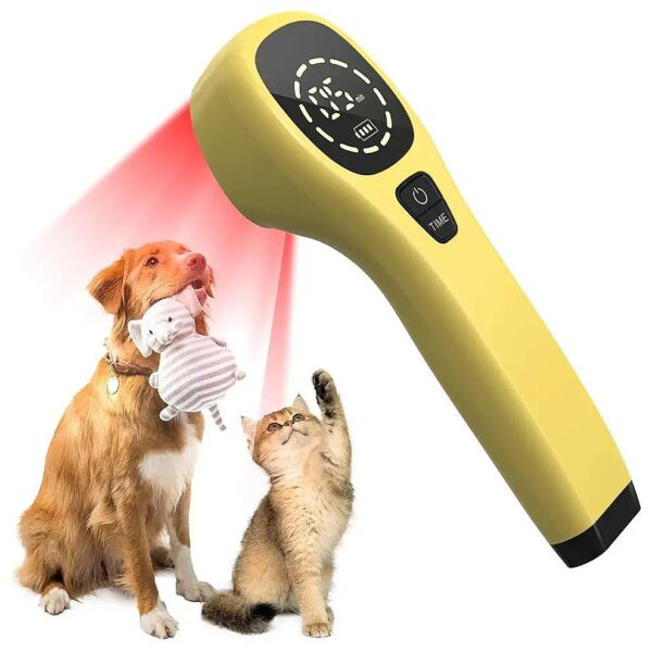 Red Light Therapy for Animals Relieves Pain and Inflammation with Low Level Laser