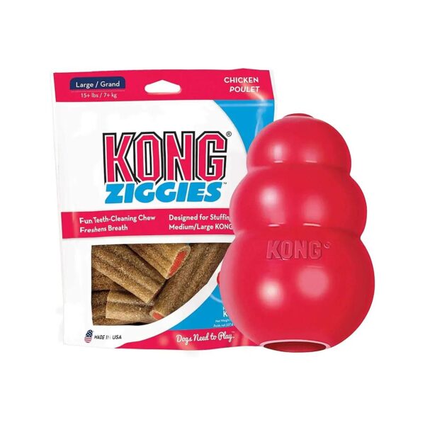 Red Rubber Chew Toy with Treats for Large Breed Dogs