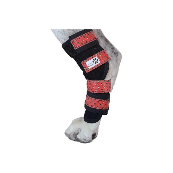 Red Skulls Large Leg Supports for Dogs with Joint Arthritis and Injuries