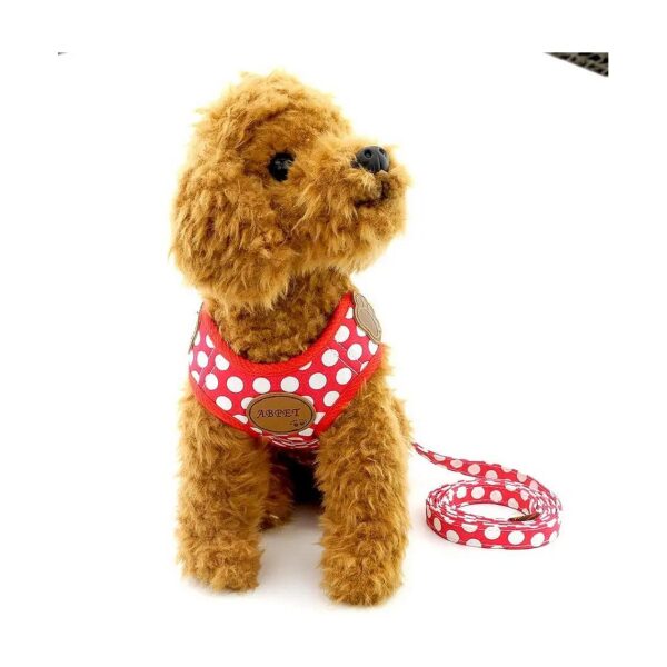 Red Small Dog Harness Vest and Leash Set with Padded Mesh and No Pull Leads