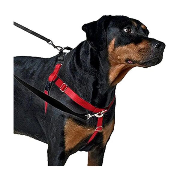 Red Velvet No Pull Dog Harness for Small and Medium Dogs