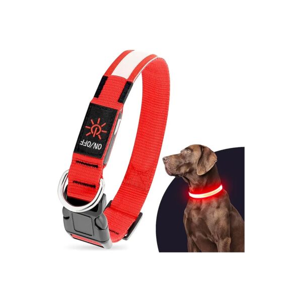 Red X-Large Dog Safety Collar with Adjustable Nylon Webbing and LED Lighting