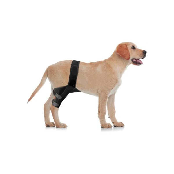 Reduces Dog Knee Joint Pain and Inflammation with Soft Neoprene Material Support