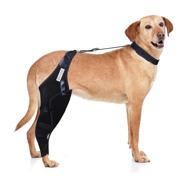 Reduces Pain and Inflammation Dog Knee Cap Dislocation Support