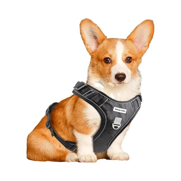 Reflective Adjustable Dog Walking Harness with Handle for Small Medium Large Dogs