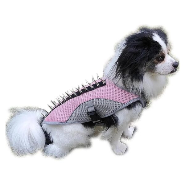 Reflective Cooling Dog Vest with Spike Protection for Small Medium Large Dogs