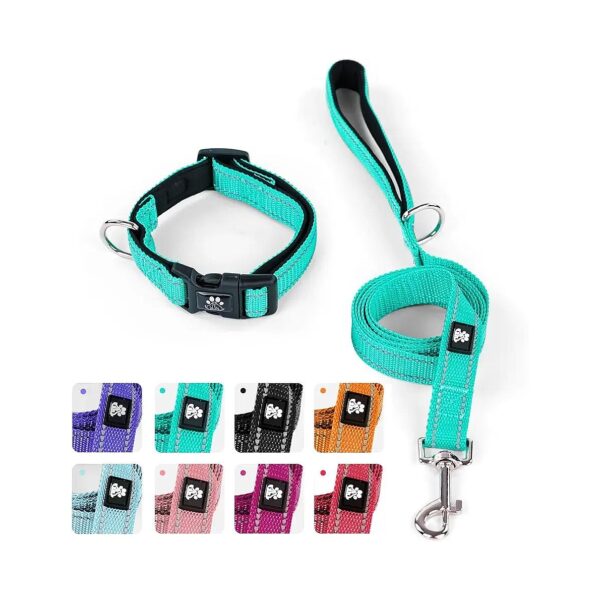 Reflective Dog Collar and Leash Set with Adjustable Fit for Small to Large Breeds