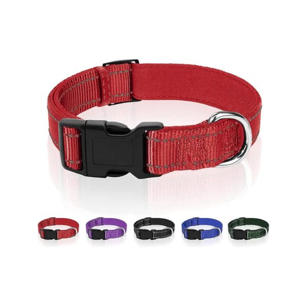 Reflective Dog Collar for Small Dogs with Soft Neoprene Padded Nylon