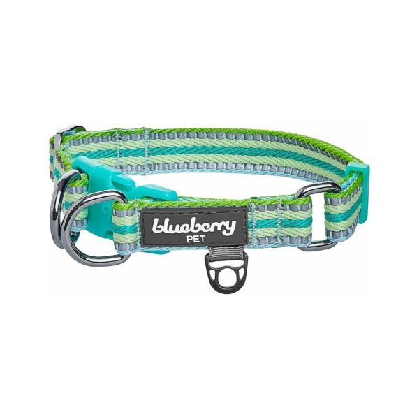 Reflective Dog Collar with Stripe Pattern and Adjustable Neck Size for Large Dogs