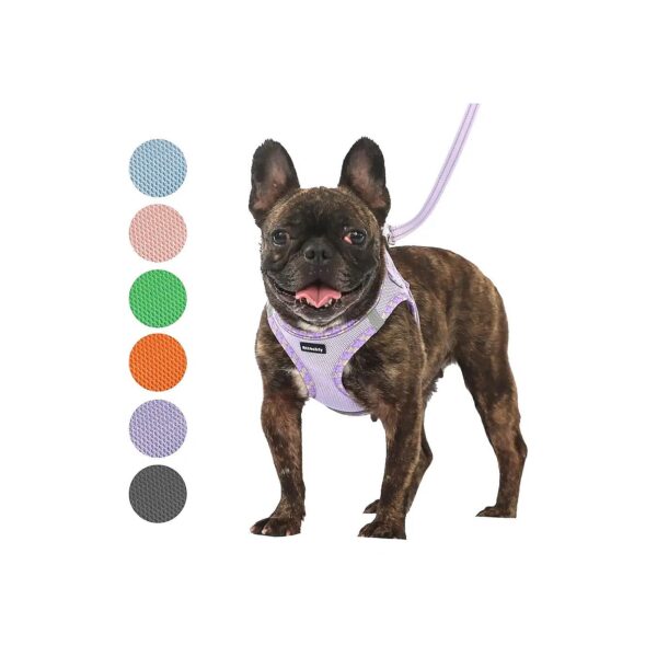 Reflective Dog Harness for Small and Medium Breed Dogs with Breathable Mesh for Comfort