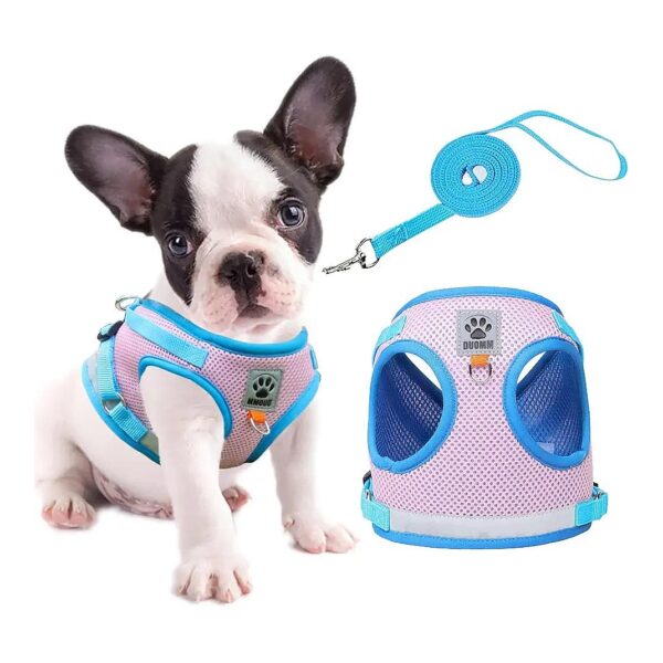 Reflective Dog Leash with Adjustable Harness for Small Puppies and Cats