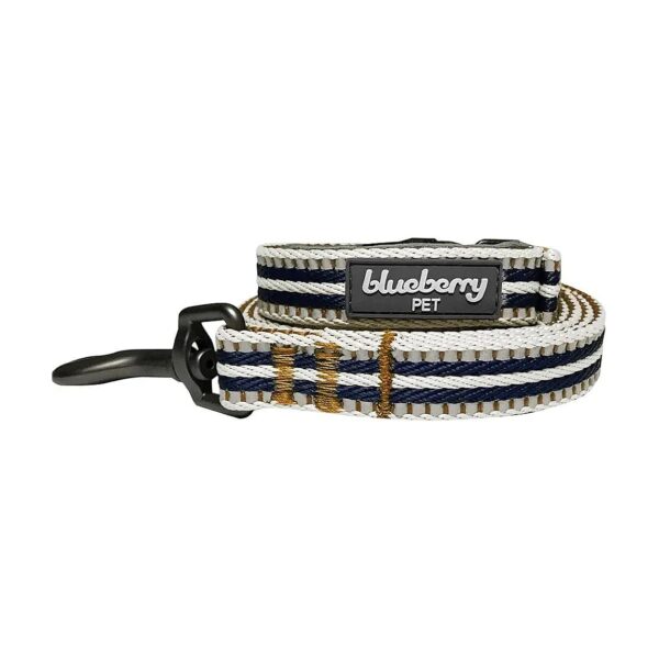 Reflective Dog Leash with Olive and Blue-Gray Colors for Medium Dogs