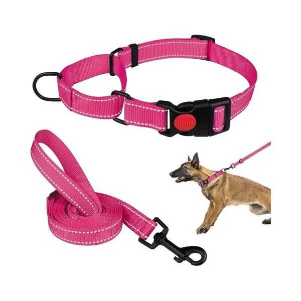 Reflective Martingale Dog Collar and Leash Set for Small Medium Large Dogs