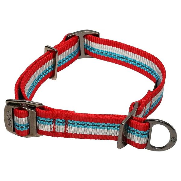 Reflective Martingale Style Collars for Dogs with Neck Size 10 to 14 Inches