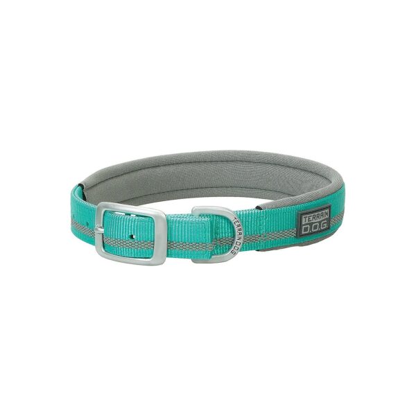 Reflective Neoprene Lined Nylon Dog Collar with Woven Stripe Safety Feature