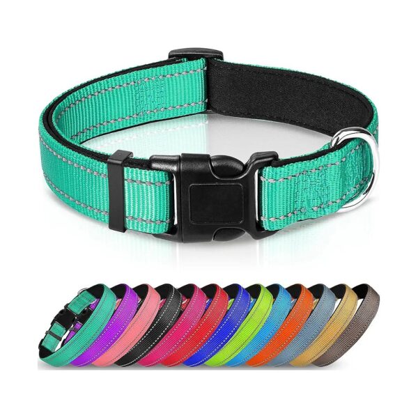 Reflective Neoprene Padded Nylon Dog Collar for Small Dogs - Teal