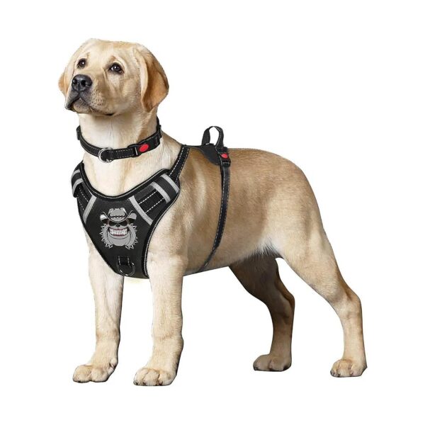 Reflective No-Pull Dog Harness Vest Set for Medium Large Dogs with Adjustable Leash