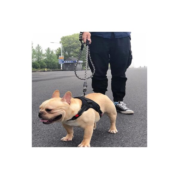 Reflective No-Pull Harness with Padded Leash for Small Dogs