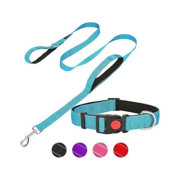 Reflective Nylon Dog Collar and Leash Set for Enhanced Safety and Comfort