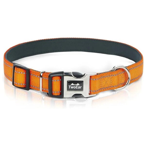 Reflective Nylon Dog Collar with Soft Padding and Metal Buckle for Small Dogs