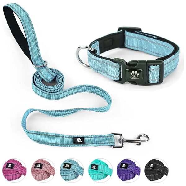 Reflective Nylon Dog Leash with Adjustable Soft Neoprene Collar for Small to Large Dogs