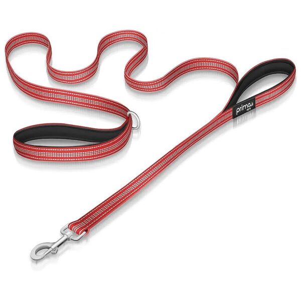 Reflective Nylon Dog Leash with Padded Handles for Small to Medium Dogs