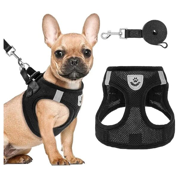 Reflective Puppy Harness and Leash Set for Small to Medium Dogs and Cats