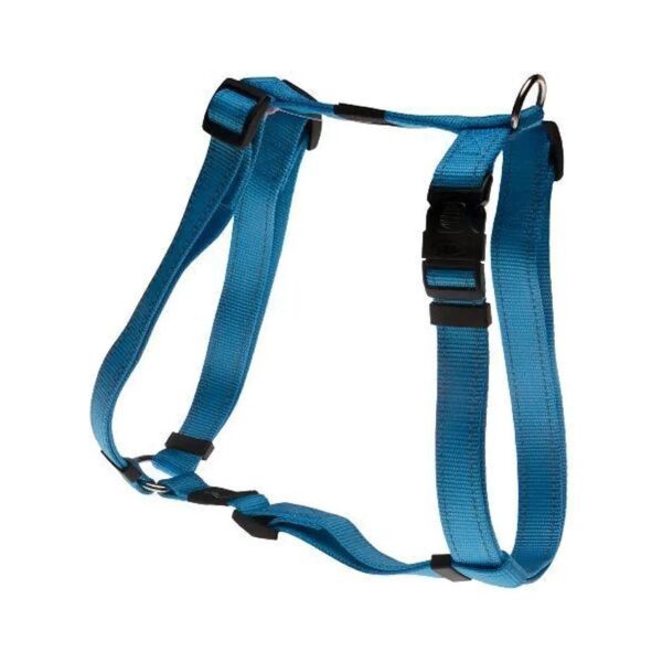 Reflective Turkquoise Dog Harness for Large Breed Dogs with Matching Collar and Leash