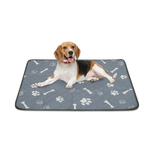 Reusable Pet Pee Pads for Durable and Long-Lasting Use