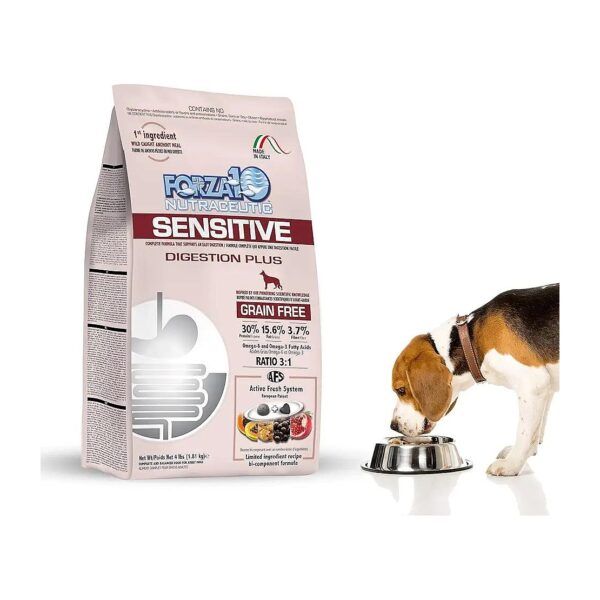 Rich in Omega Fatty Acids Grain Free Dry Dog Food for Adult Dogs with Digestive Issues