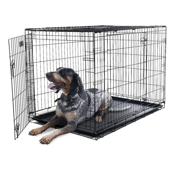 Roomy Double-Door Dog Crate with Foldable Dividers