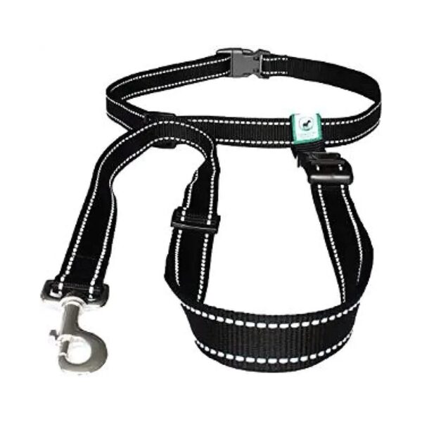 Running Leash for Small to Large Dogs with Non-Bungee Design for Control