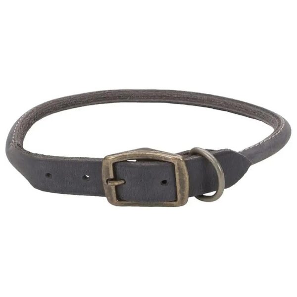 Rustic Leather Dog Collar with Antique Brass Hardware Slate Grey Diameter 1 x Length 22