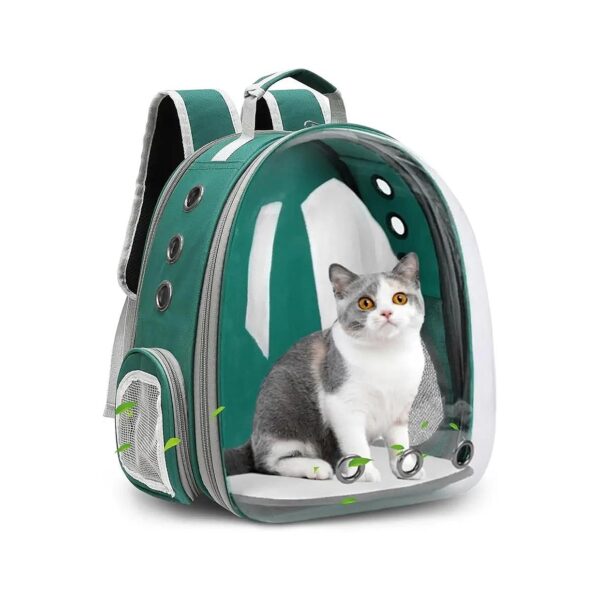 Safe and Comfortable Bubble Pet Carrier with Expandable Space for Cats and Puppies