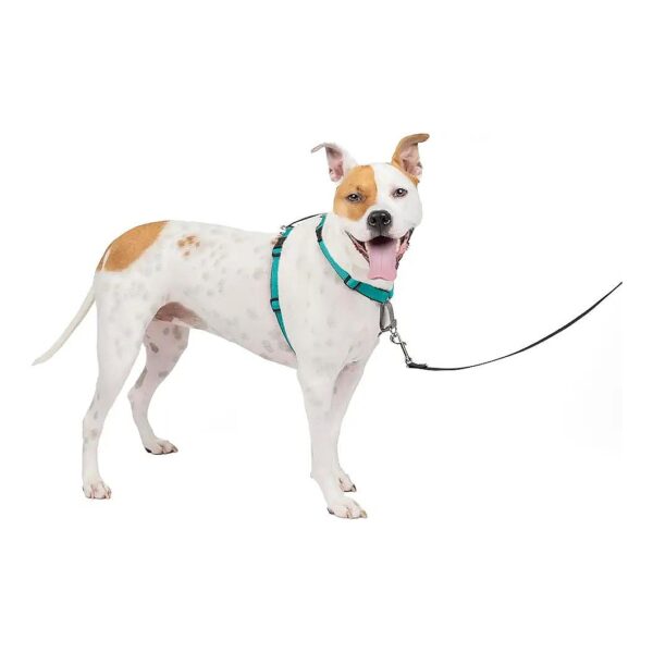 Safe and Comfortable No-Pull Dog Harness for Medium Dogs - Walk, Run, or Travel