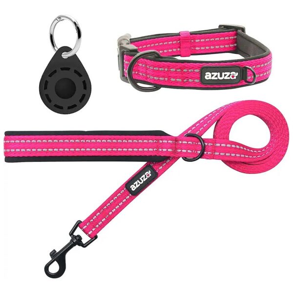 Safe and Comfy Small Dog Leash and Collar Set with Hot Pink Color and Reflective Strip