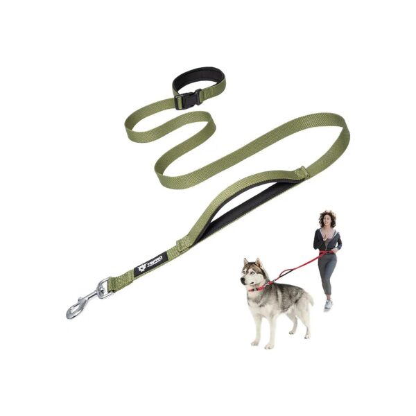 Safe and Easy Walking Running Leash with Control Handle for Small Medium Large Dogs