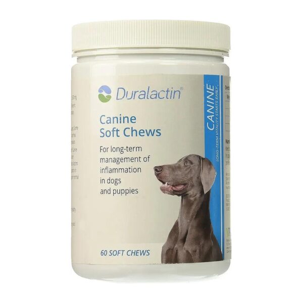 Safe and Gentle Soft Chews for Canine Inflammatory Conditions