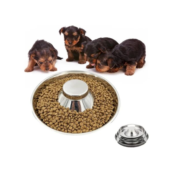 Safe and Healthy Food and Water Bowls for Small Medium and Large Breed Dogs