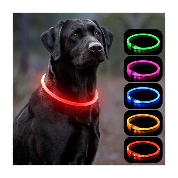 Safe and Visible LED Dog Collar for Small to Large Dogs, Waterproof and Adjustable