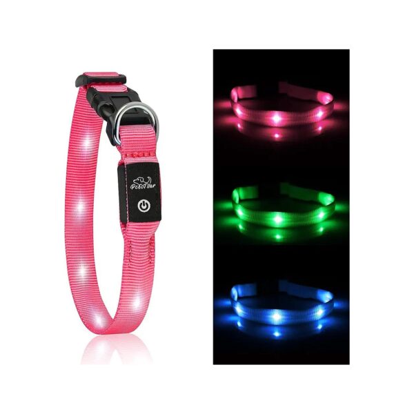 Safety Glow Dog Collar for Small Dogs and Cats with Soft Padding