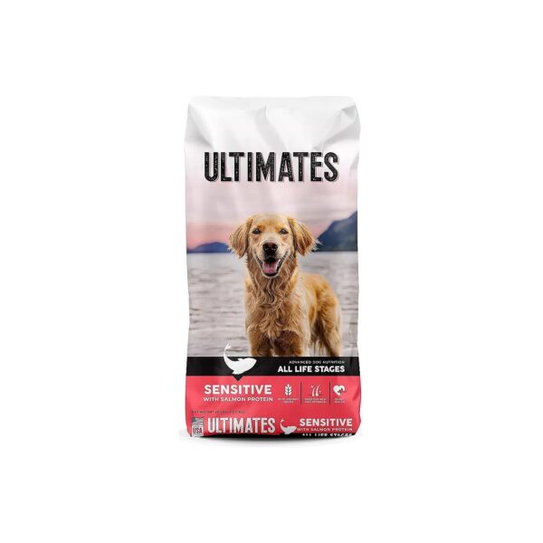 Salmon Protein Rich Dry Dog Food for Sensitive Skin and Stomach