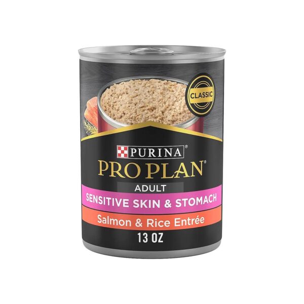 Salmon and Rice Pate Wet Dog Food for Healthy Digestion and Skin