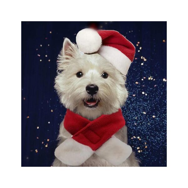 Santa Hat and Scarf Costume for Cats and Small Dogs