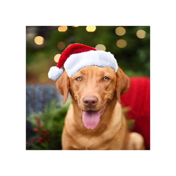 Seasonal Durable Christmas Dog Santa Hat for Holiday Photos