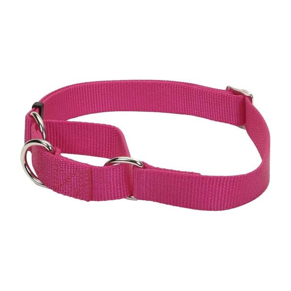 Secure, Adjustable Dog Collar in Pink Flamingo with Limited Closure Design for Prevention